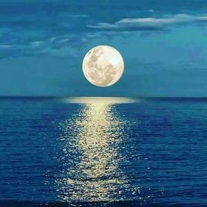 Meet your Posher, Millie